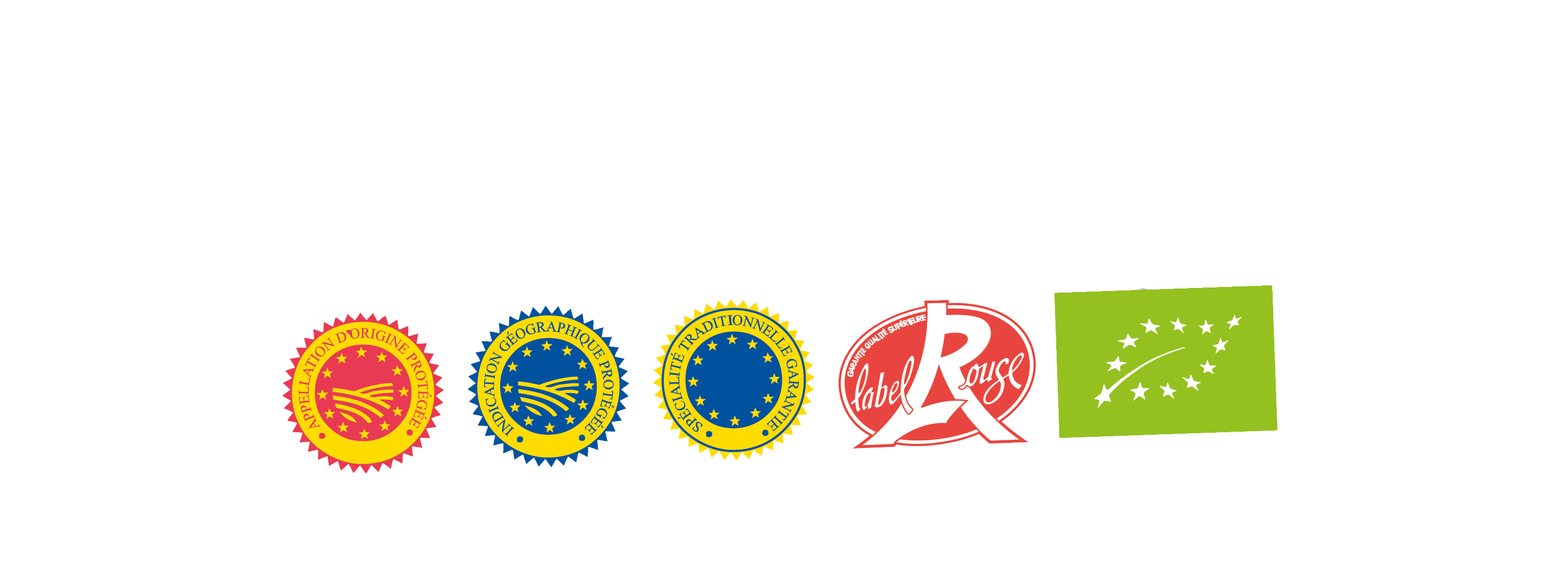 Logo 3